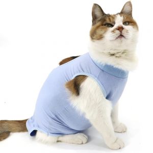 Cat Surgical Suit