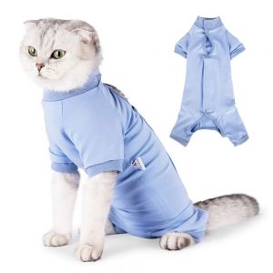 Cat Surgical Suit