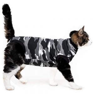Cat Surgical Suit