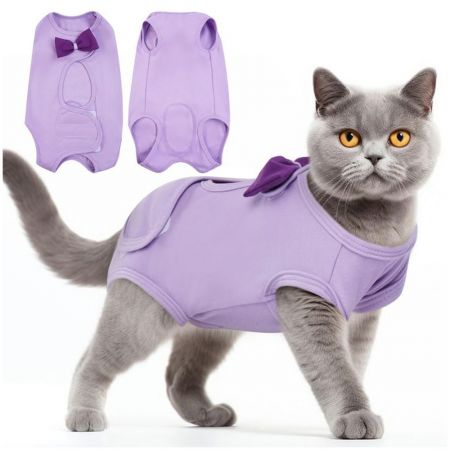 Cat Surgical Suit