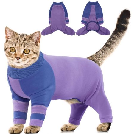 Cat Surgical Suit