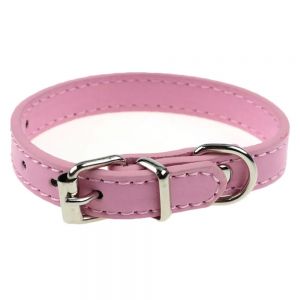 Cat Neck Collar
