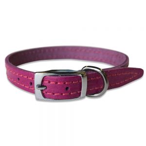 Cat Neck Collar