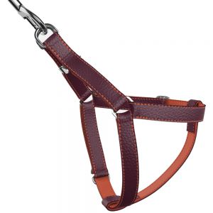 Dog Harness