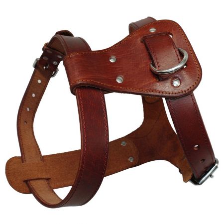 Dog Harness