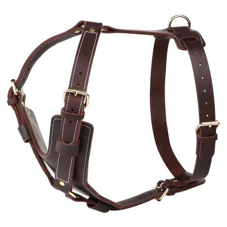Dog Harness