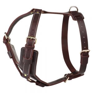 Dog Harness
