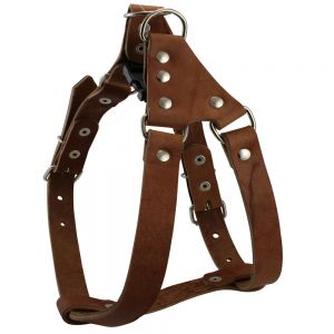 Dog Harness
