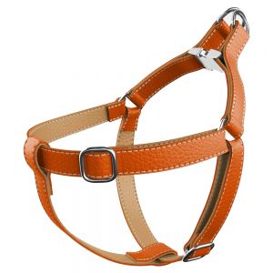 Dog Harness