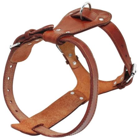Dog Harness