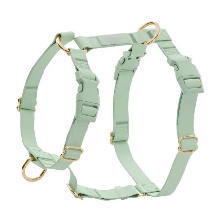Dog Harness