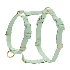 Dog Harness