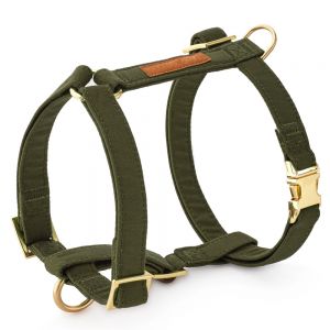 Dog Harness