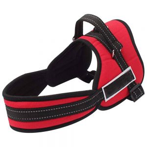 Dog Harness