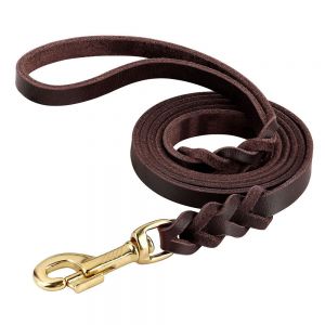 Dog Leashes