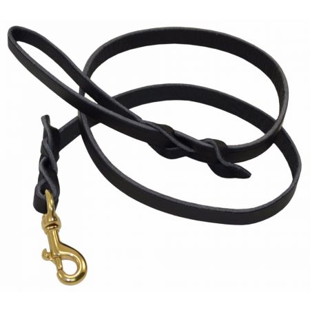 Dog Leashes