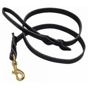 Dog Leashes