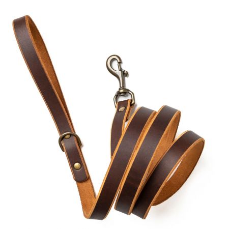 Dog Leashes