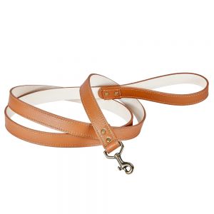 Dog Leashes