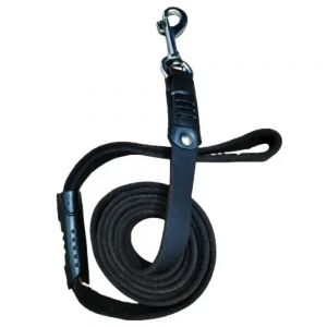 Dog Leashes