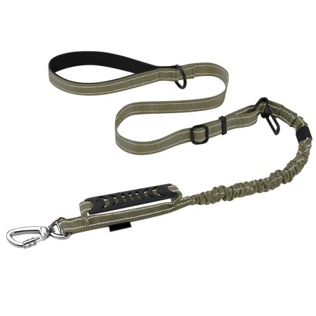 Dog Leashes