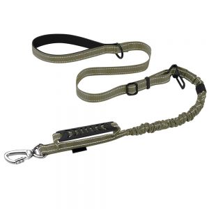 Dog Leashes