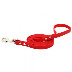 Dog Leashes