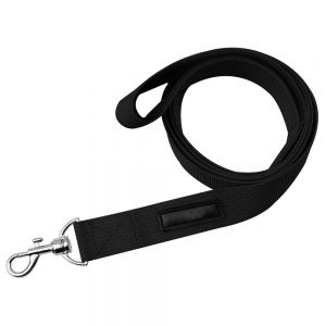 Dog Leashes