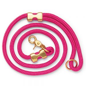Dog Leashes