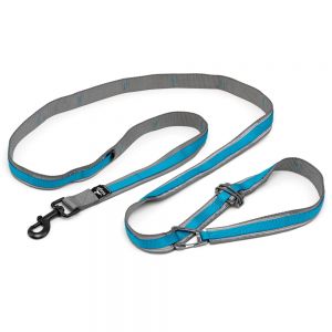 Dog Leashes