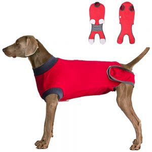 Dog Surgical Suit