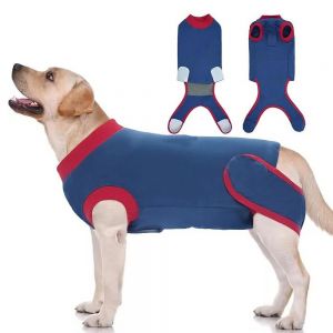 Dog Surgical Suit