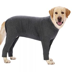 Dog Surgical Suit