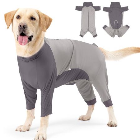 Dog Surgical Suit