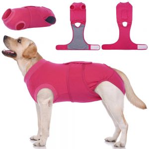 Dog Surgical Suit