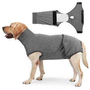 Dog Surgical Suit