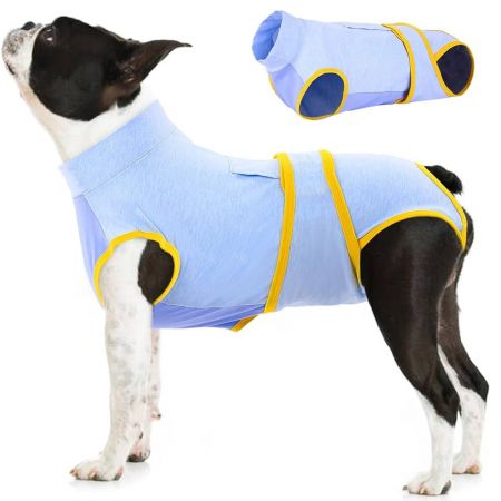 Dog Surgical Suit