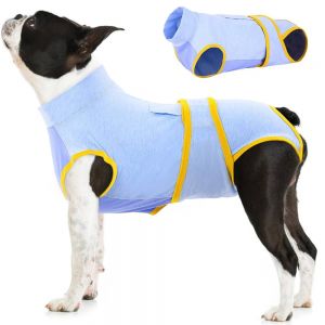 Dog Surgical Suit