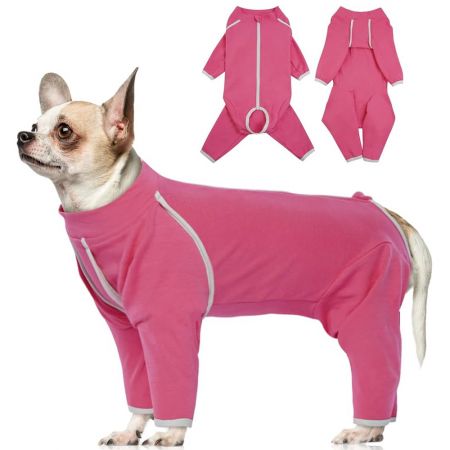 Dog Surgical Suit