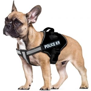 Dog Armour Harness