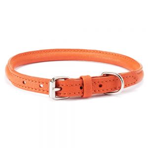 Doh Neck Collars