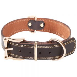 Cat Neck Collar