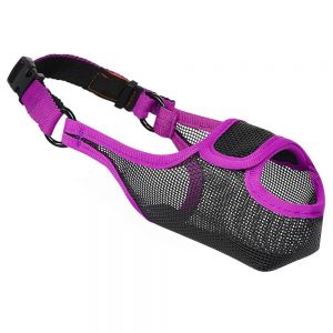 Dog Muzzles