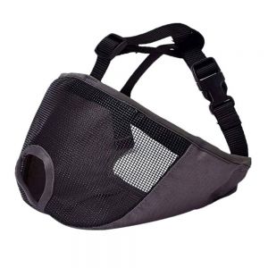 Dog Muzzles