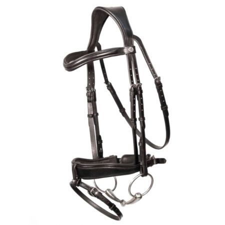 Horse Bridles