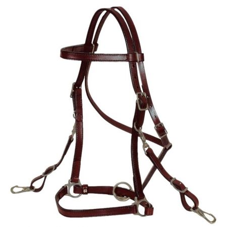 Horse Bridles